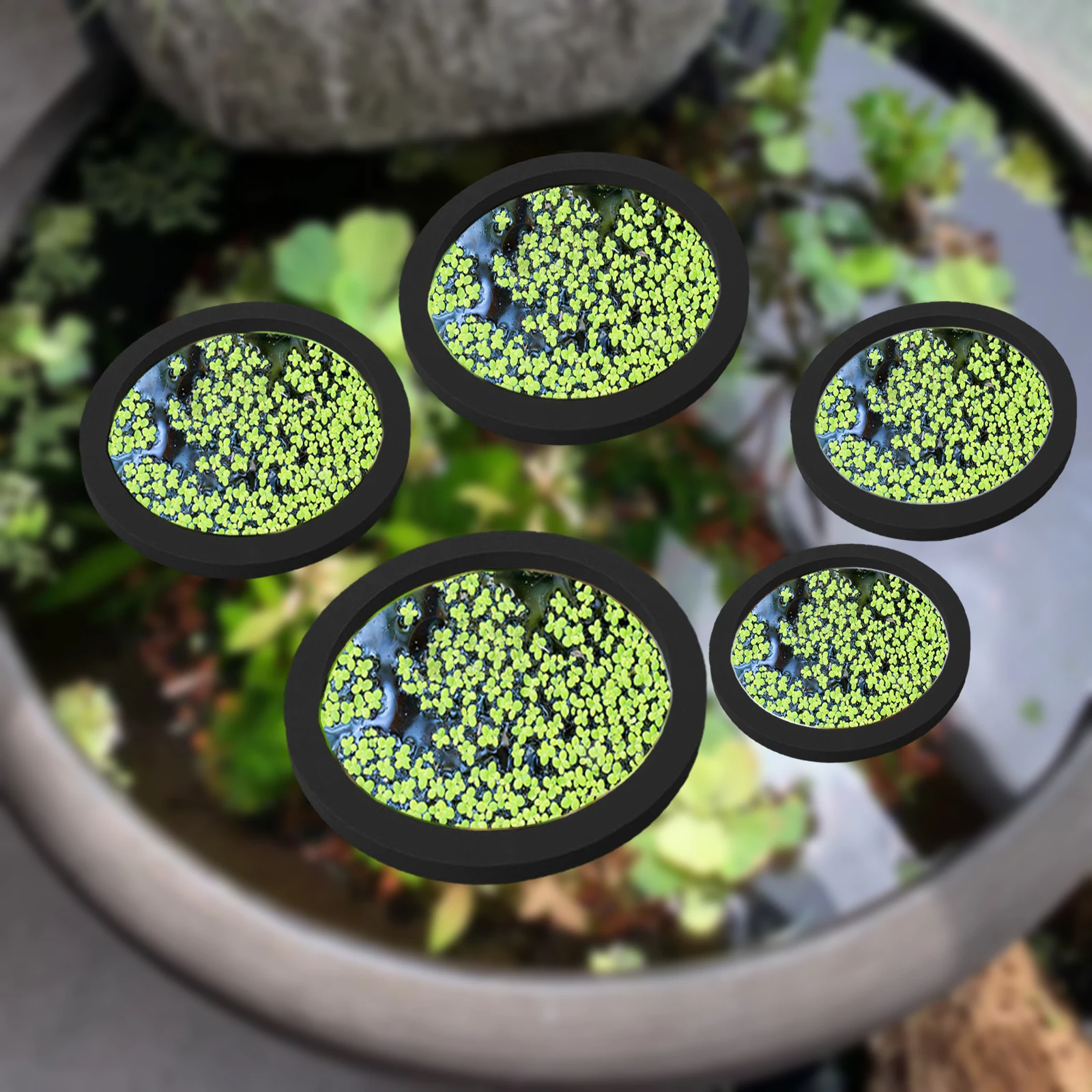Aquarium Plants - 5 قطعة إيفا الأسماك تغذية حلقة