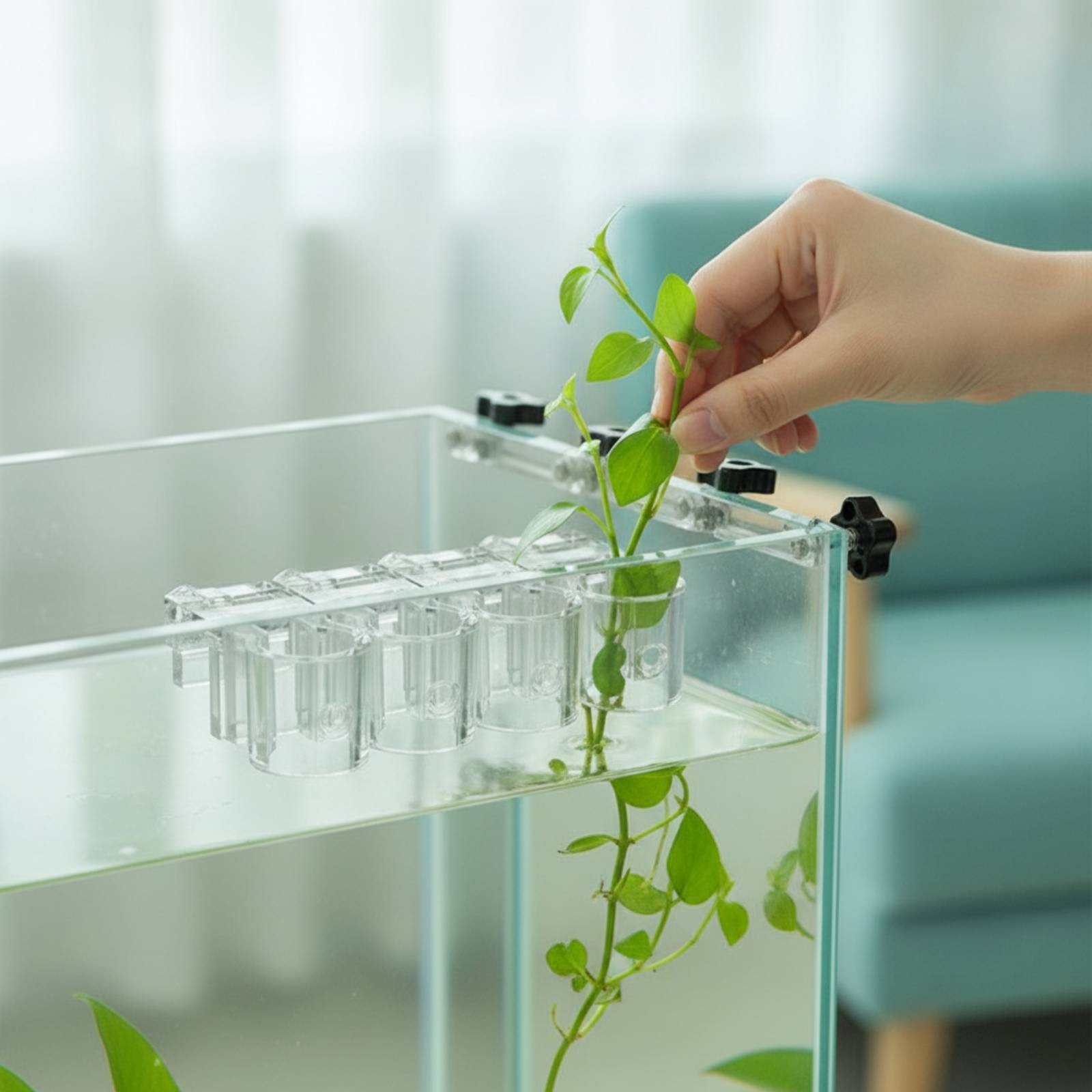 6 قطع مشبك دعم شفاف للزراعة ال - مراجعة Aquarium Plants وسعره