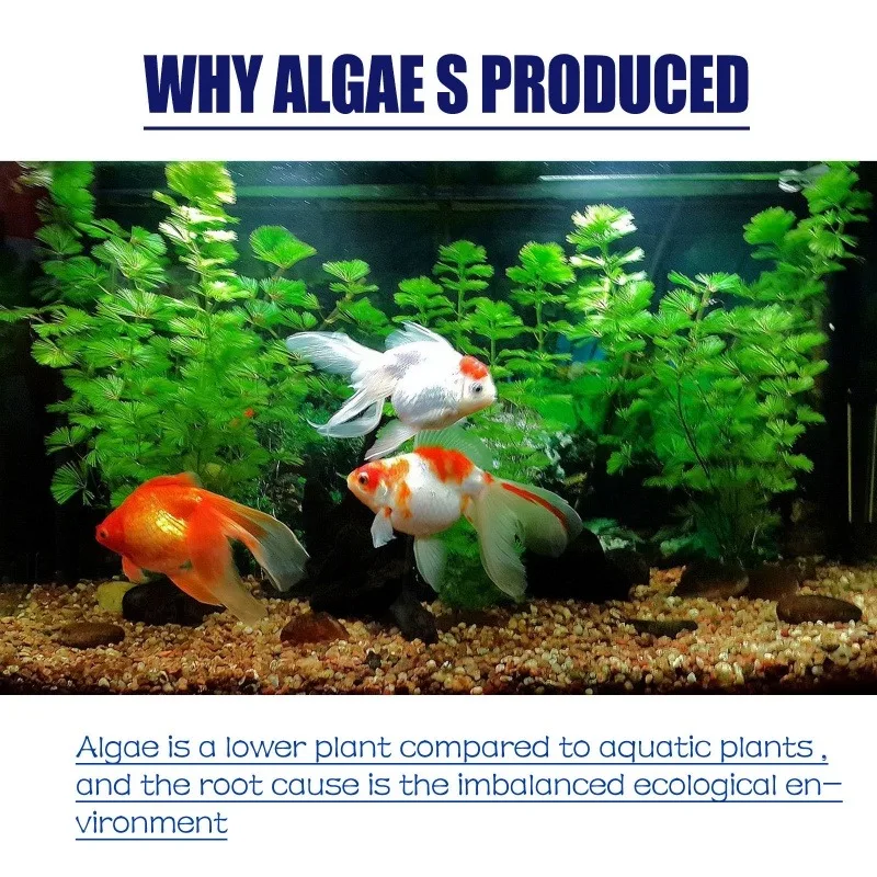 50 جرام من مبيد الطحالب عالي ا - مراجعة Planted Aquarium Fertilizer وسعره