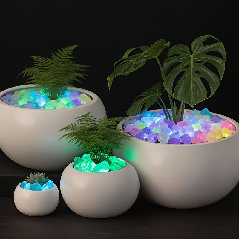 مجموعة 300 قطعة من الحصى المضي - مراجعة Aquarium Plant Growth وسعره