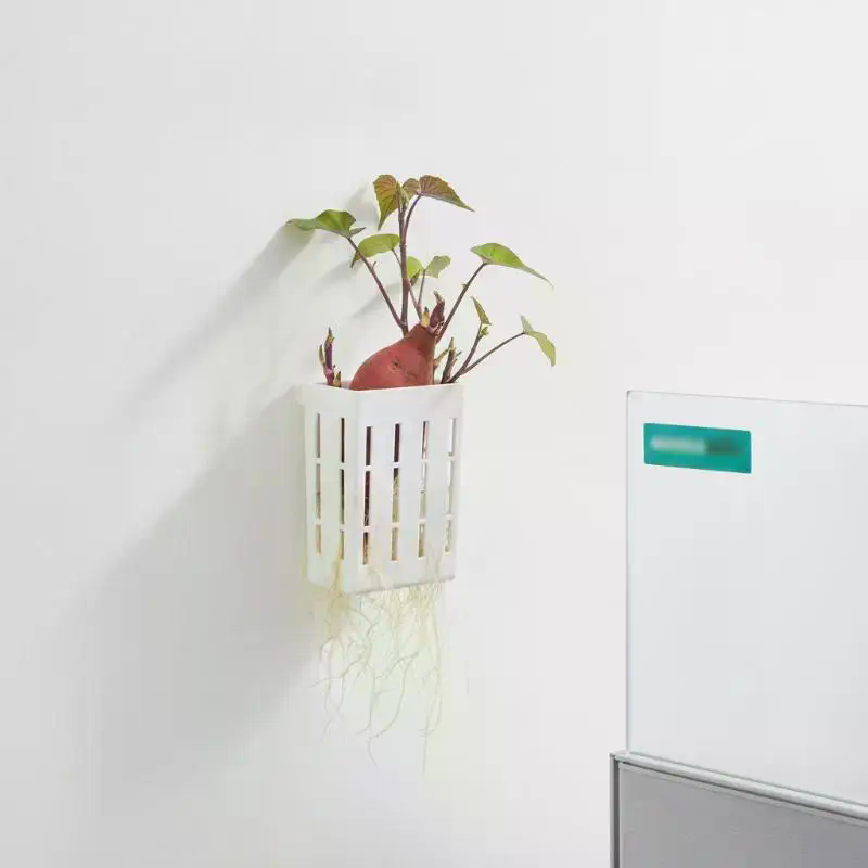 1 قطعة سلة دعم للزراعة المائية - مراجعة Aquarium Plants وسعره