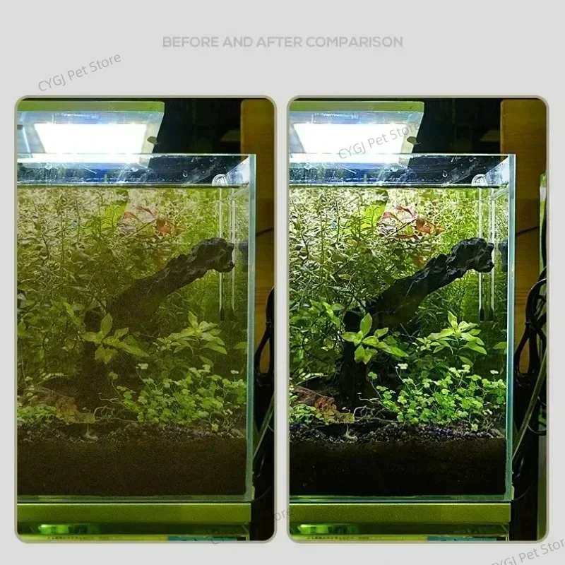 أداة تنظيف خزان الأسماك إزالة  - مراجعة Planted Aquarium Maintenance Kit وسعره