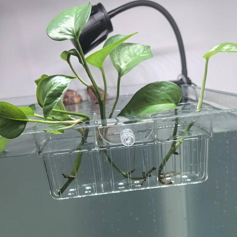 سلة زراعة مائية من الدرجة الغذ - مراجعة Aquarium Plants وسعره
