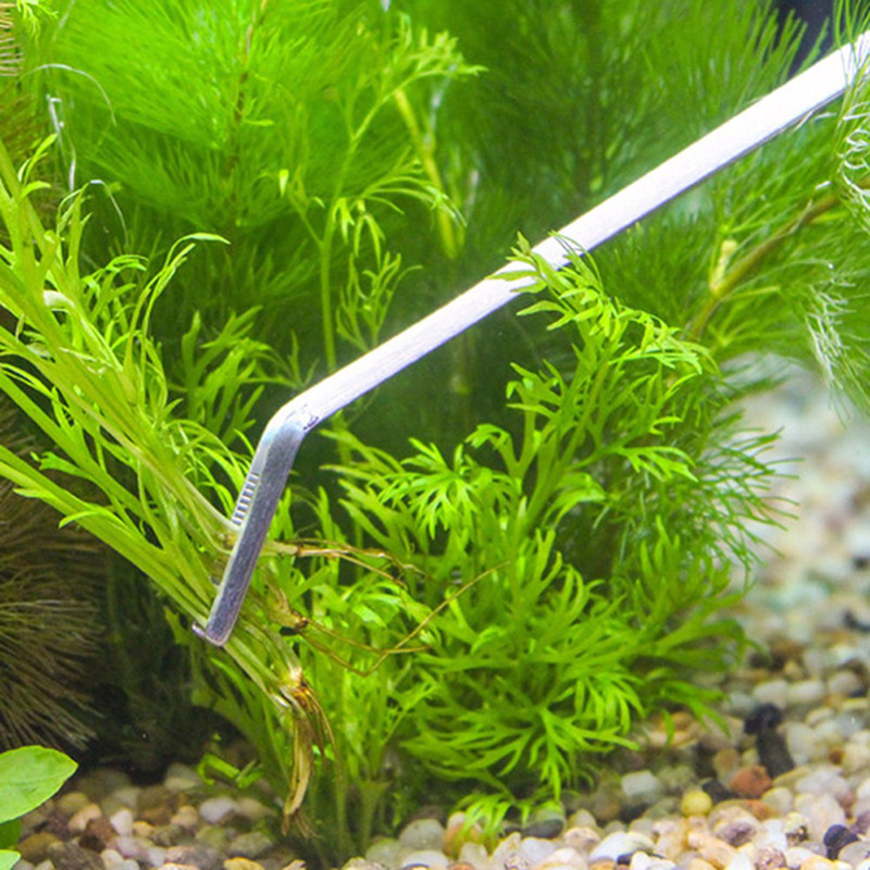 مجموعة أدوات صيانة أحواض السمك - مراجعة Planted Aquarium Maintenance Kit وسعره