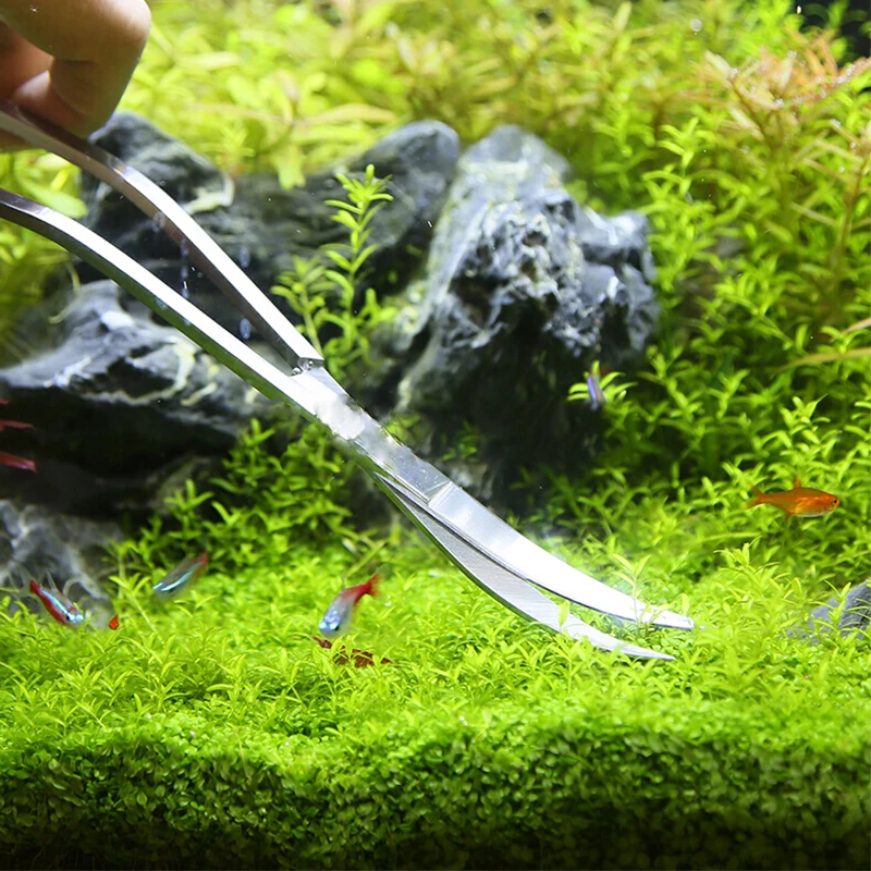 حوض السمك مقص أدوات خزان الأسم - مراجعة Planted Aquarium Maintenance Kit وسعره