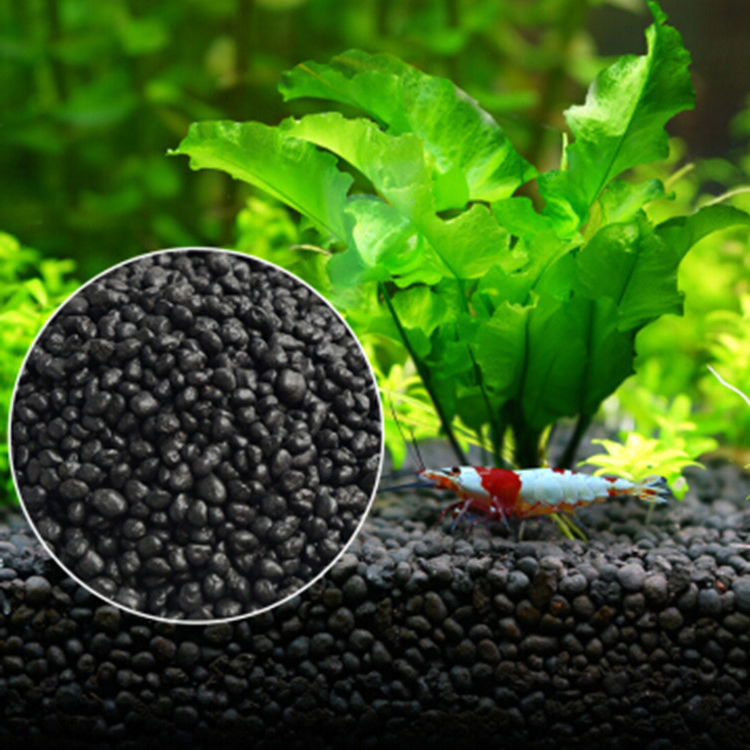نباتات أحواض السمك ، التربة ،  - مراجعة Planted Aquarium Fertilizer وسعره