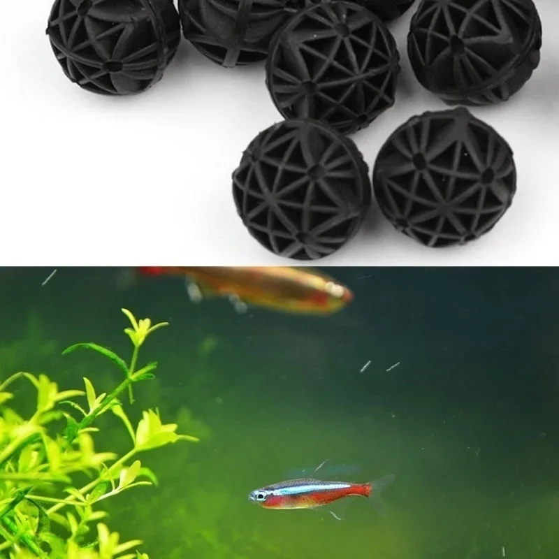 20 قطعة من كرات الترشيح الحيوي - مراجعة Planted Aquarium Fertilizer وسعره
