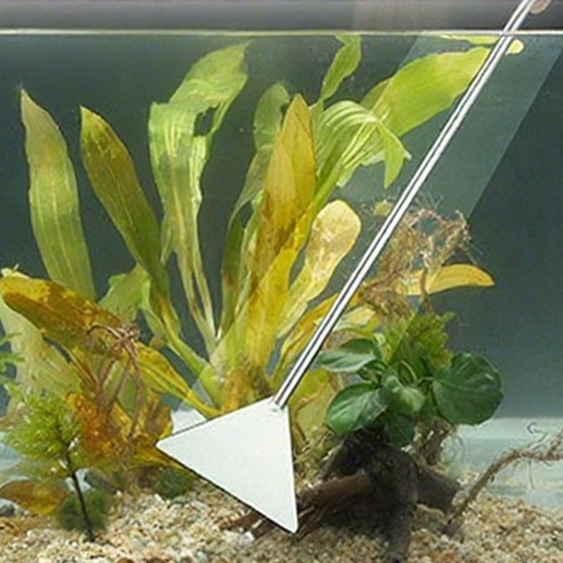 حوض السمك مقص الملقط أداة خزان - مراجعة Planted Aquarium Maintenance Kit وسعره