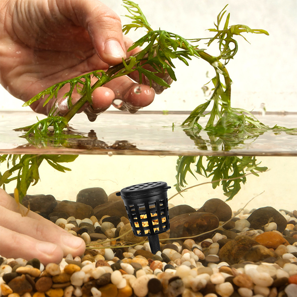 120 قطعة من سلال السماد بتصميم - مراجعة Planted Aquarium Fertilizer وسعره